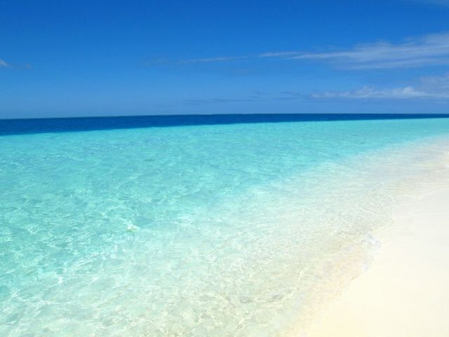 ꂪ̃r[`I_NmX@I[V@tB[h