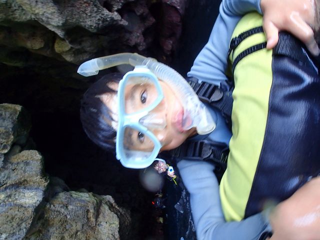 �̓��A�@Dive�@�����