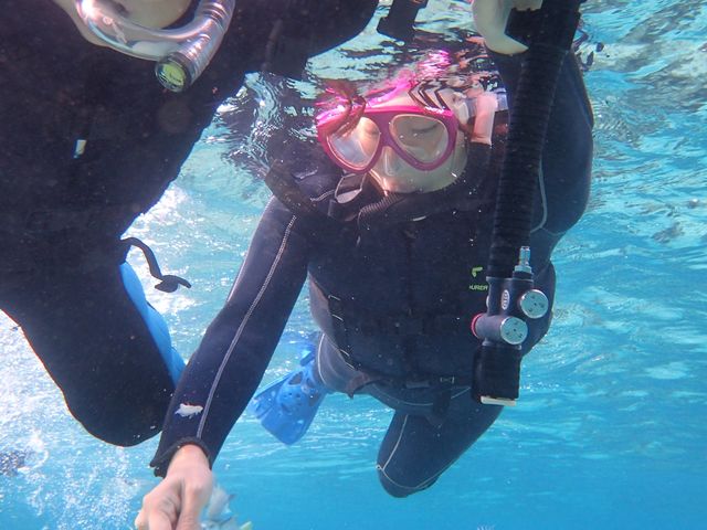 �ǂ���⤴_�̓��A�@Dive�@�����