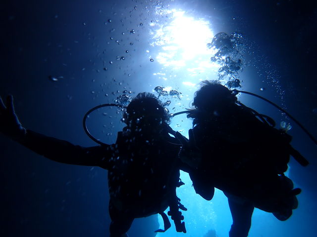 �_��̓��A�I�I_�̓��A�@Dive�@�����