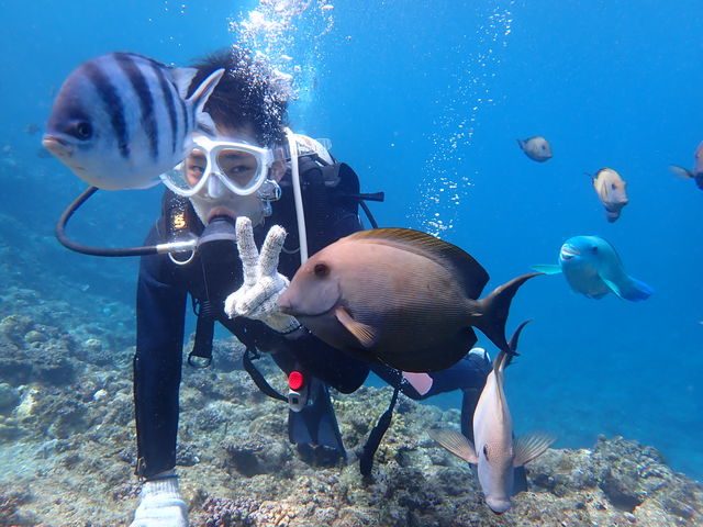 �_�C�r���O���Ƃ��Ȃ�߂��ŋ��Ɖj���܂���B_�̓��A�@Dive�@�����