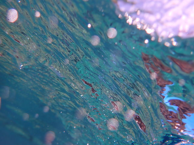 ���グ�����ʂ͂���Ȃ��Y��_�̓��A�@Dive�@�����