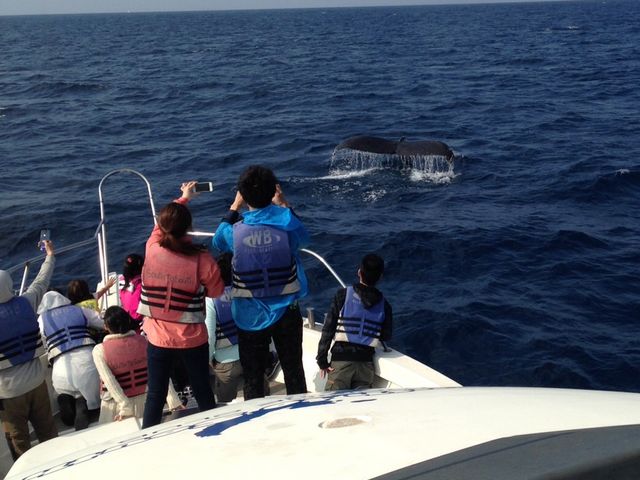 �K���N�W���ɉ��悤�X�^�b�t���S�͂Ŋ撣���Ă��܂��I_South to South