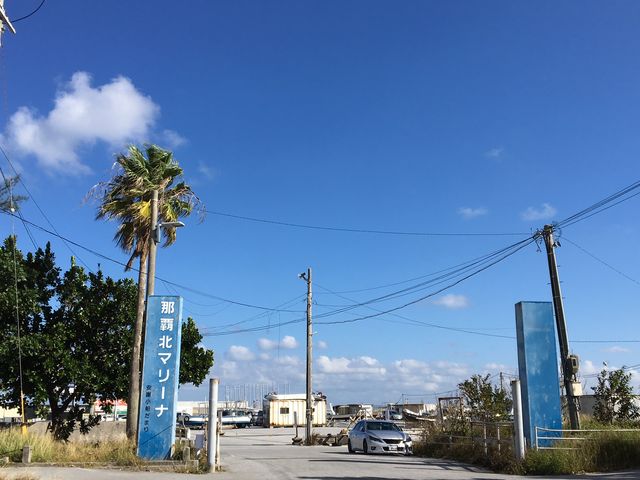 �W���ꏊ�̓ߔe�k�}���[�i�ł��B�u���[�̒��Ƃ₵�̖؂�ڈ�ɂ��z�����������ˁI_South to South