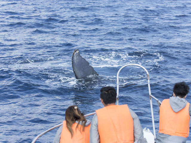 �x�X�g�V���b�g�𓦂��Ȃ��łˁI_South to South