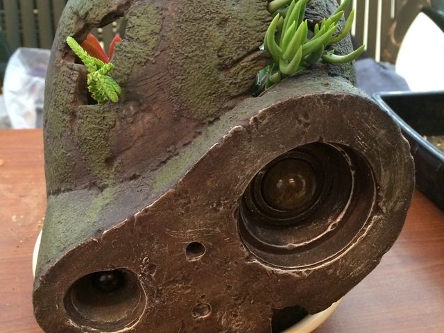 ���q�l��i��_Saiki�@Engei