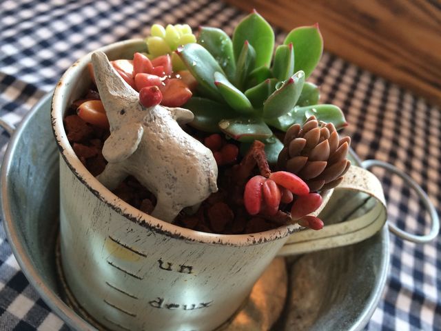 ���q�l��i��_Saiki�@Engei