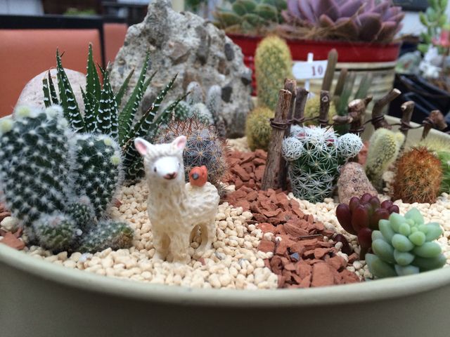 ���q�l��i��_Saiki�@Engei