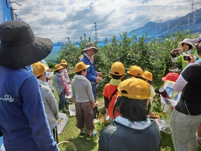 �c�̂�����n�j�ł��B_�����u���[�x���[�_��