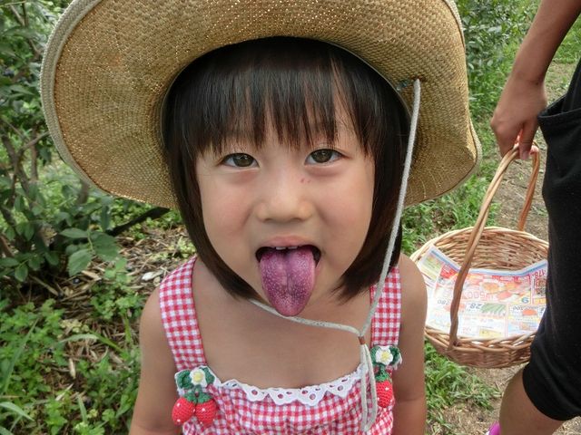 �H�׉߂��Ă��������F�ɁI_�����u���[�x���[�_��