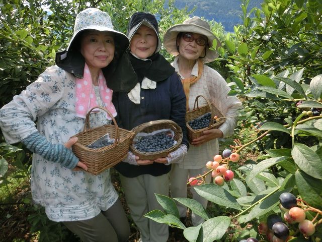 ���ǂ��R�l�g�B�u���[�x���[���g���ĉ������̂��ȁH_�����u���[�x���[�_��