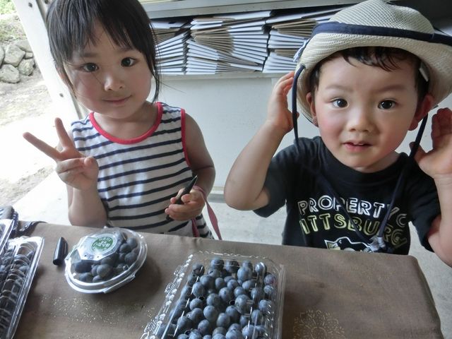 �������A��p�Ƀp�b�N�ŏ��������܂��B���y�Y�ɂ��ǂ����I_�����u���[�x���[�_��