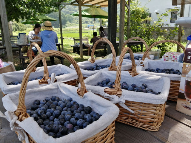 1�l1�L���ȏ�̎��n�ő̌����������͂����񂩂�͑ΏۊO�ł��̂ł����ӂ��������B�B_�����u���[�x���[�_��