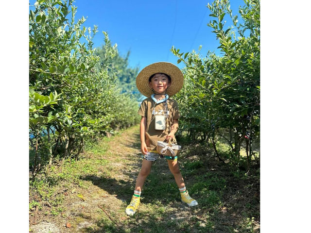 �ڍׂ̓z�[���y�[�W�ŁBhttp://saijoblueberry.ina-ka.com/_�����u���[�x���[�_��