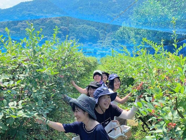 �����͔�r�I�̂�т�ł��܂��B_�����u���[�x���[�_��