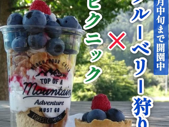 ���D�݂̃f�U�[�g���Q�łǂ����B_�����u���[�x���[�_��