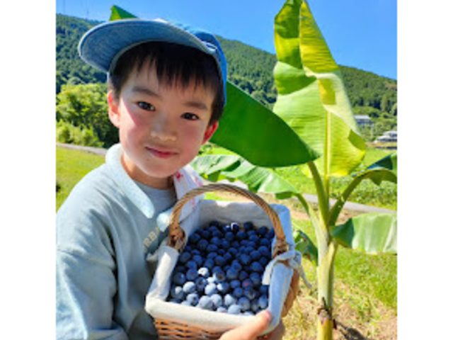 �������������1�L���ł�_�����u���[�x���[�_��