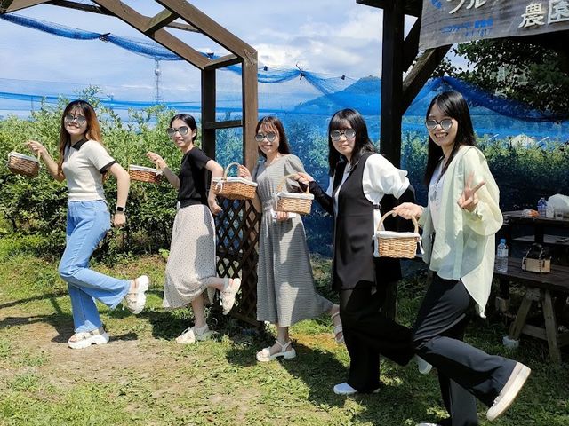 �������n�J�n�I_�����u���[�x���[�_��