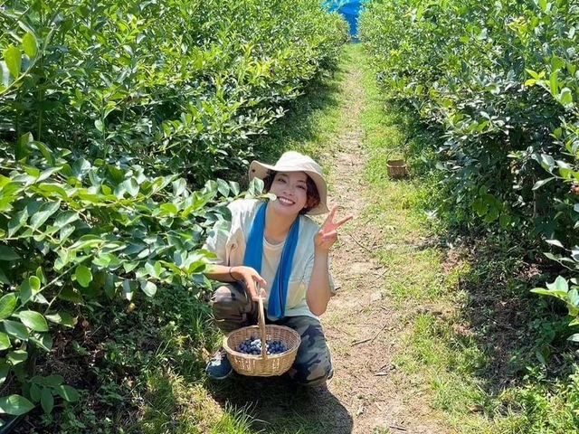 �̂��Ă������A�ŋx�e����������_�����u���[�x���[�_��