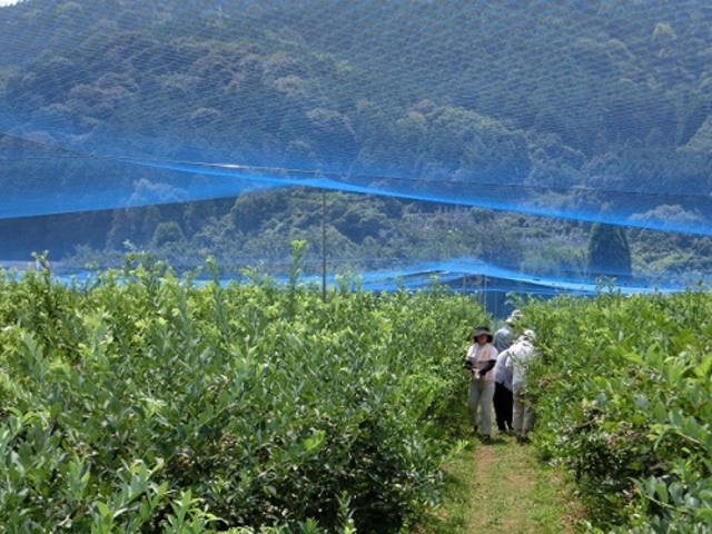 �ǂ̃u���[�x���[�����R�ɑI��œE�ݎ���ĐH�ׂĂn�j�ł��B_�����u���[�x���[�_��