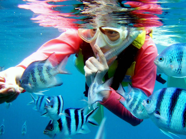 �g���s�J���t�B�b�V�������o�}����_�s�i�N���}����