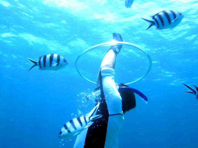 �X�L���_�C�r���O�i�f����j�R�[�X������܂��I_�s�i�N���}����