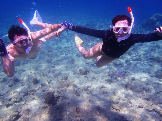 �C���͐l����_�s�i�N���}����