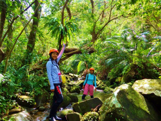 �w�����b�g�ƃj�[�p�b�g��t���Ĕ鋫�̑��ڎw���܂��B_���\���C���J���b�N���g���b�L���O�����N�G�X�g�ό��c�A�[