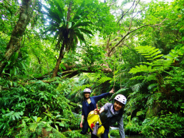 �ې������O���[���̐��E���g���b�L���O�B_���\���C���J���b�N���g���b�L���O�����N�G�X�g�ό��c�A�[