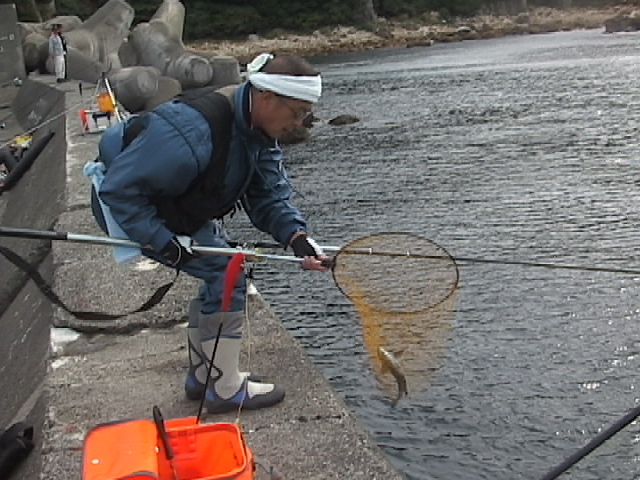 �����ނꂽ���ȁH_NPO�@�l���߂Ă̒ނ苳��Ryon