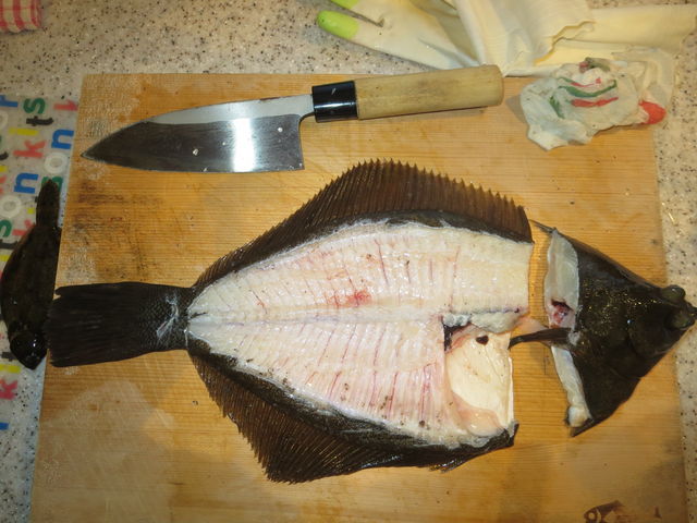 ��������ĊJ���܂�_NPO�@�l���߂Ă̒ނ苳��Ryon