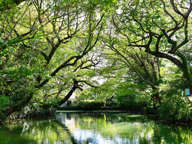 ��������ό�