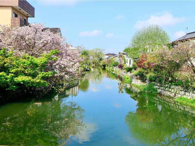 ��������ό�