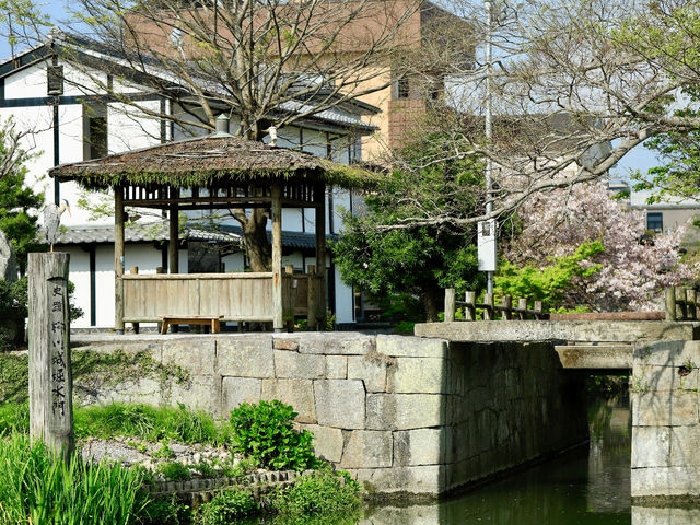 ��������ό�