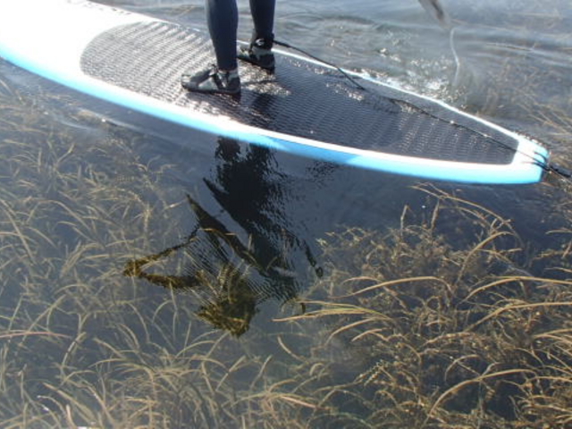 �C���̏�����������I�@���߂Ă�������ʂ�K�ꂽ���́A�w���R�x�w���x���Y�킳�ɂ���������i������܂��B�w�����͈��m/�ɐ��p�Ȃ́I�H�x_ESTA�@SURF�i�G�X�^�T�[�t�j