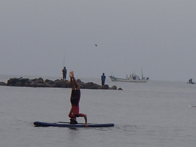 ����Ȏ����o���܂��I�@�y���߂܂��I�I�@�F�X�ȃg���[�j���O�E�o�����X���o��{���܂��B_ESTA�@SURF�i�G�X�^�T�[�t�j