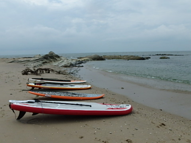 ���l�̕l�ɒ��݂��Ċy���ގ����B_ESTA�@SURF�i�G�X�^�T�[�t�j