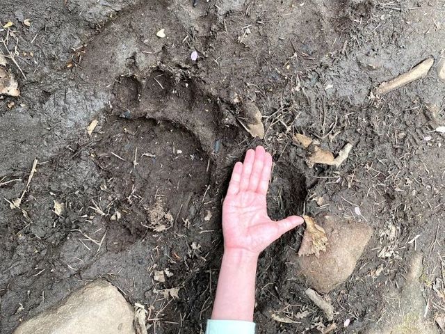 �U���H�ł̓q�O�}�̑��Ղ������邱�Ƃ�_�m���I�v�V���i���c�A�[�YSOT!