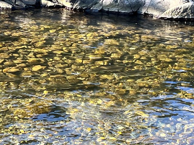 �T�P��}�X�̑k��͊������܂�_�m���I�v�V���i���c�A�[�YSOT!