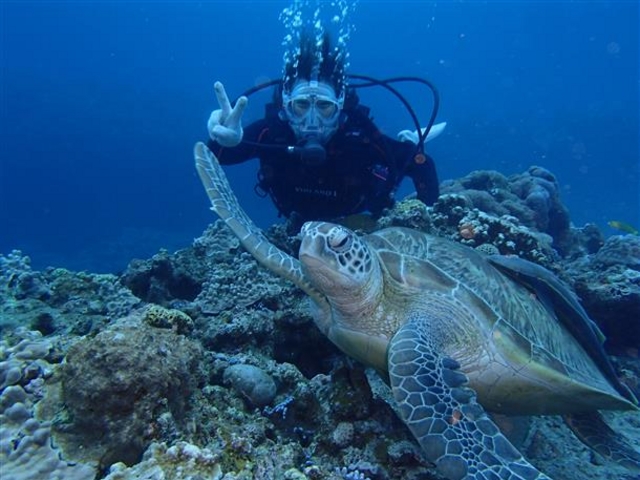 �J�����̂��������݂ł���Ȏʐ^���B��邩���H�I_�c�Ǌ�(�P���})�C�攼���c�A�[���X�@OPG