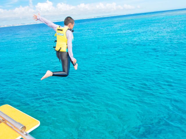 �c�Ǌ�(�P���})�C�攼���c�A�[���X�@OPG