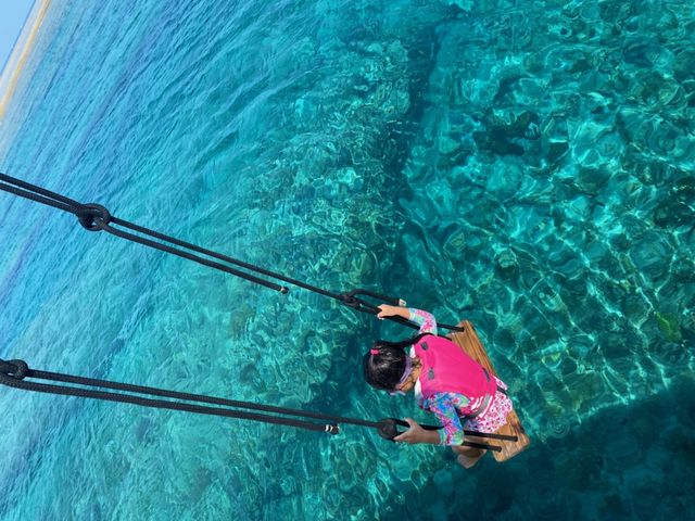 �c�Ǌ�(�P���})�C�攼���c�A�[���X�@OPG