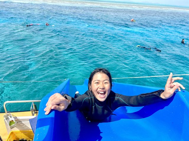 �c�Ǌ�(�P���})�C�攼���c�A�[���X�@OPG