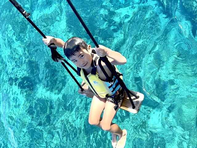 �c�Ǌ�(�P���})�C�攼���c�A�[���X�@OPG