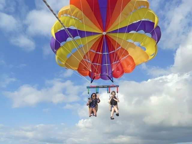 �p���Z�[�����O���ł��܂�_�c�Ǌ�(�P���})�C�攼���c�A�[���X�@OPG