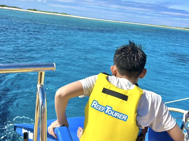 �c�Ǌ�(�P���})�C�攼���c�A�[���X�@OPG