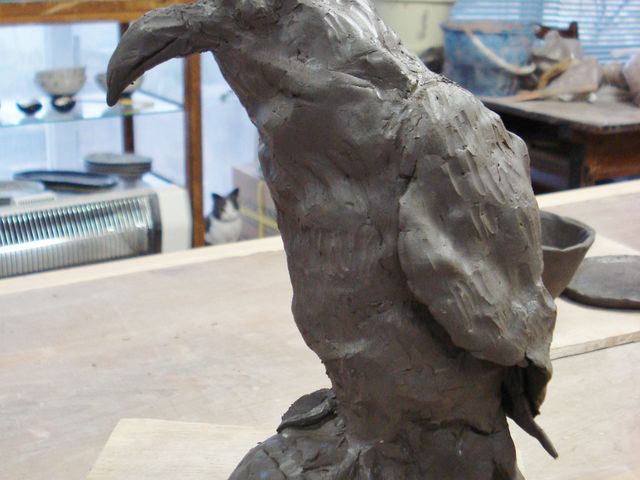 �J���X�̒u���A�������܂����I_�����H�[