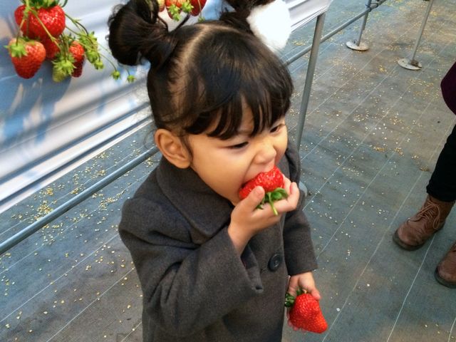 �����x���[