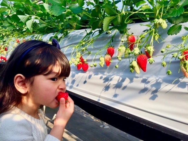 �����x���[