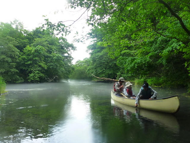 ���H�쌹���@���̊�_���o�[���t�B�[���h